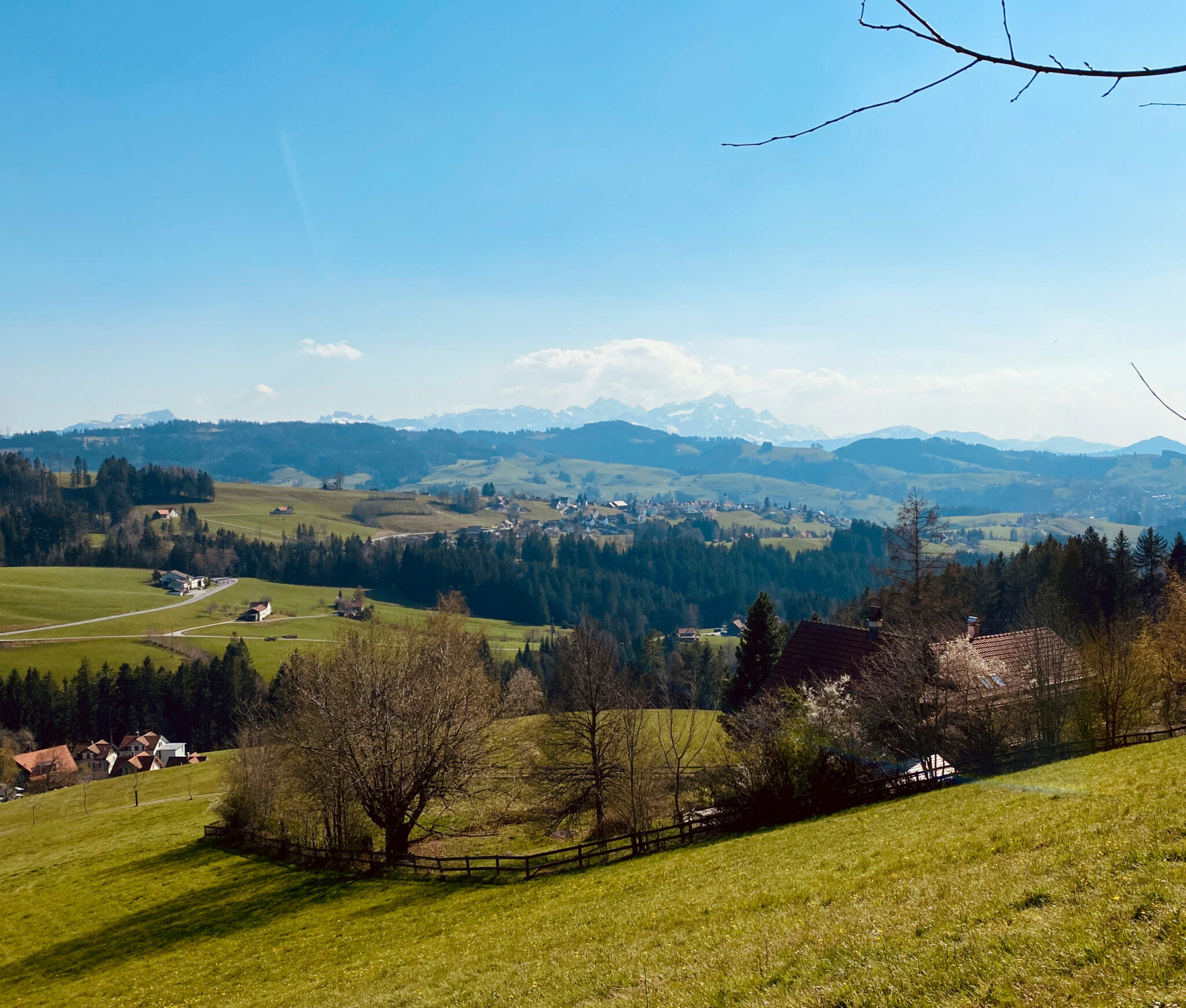 Bühler