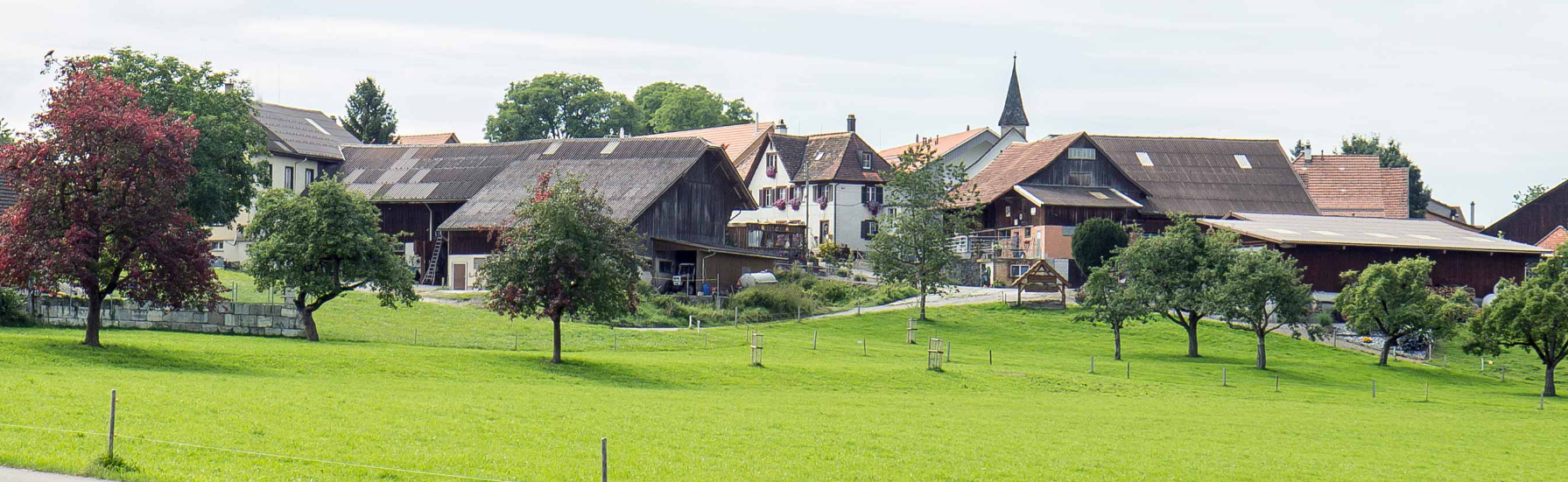 Gemeinde Wängi