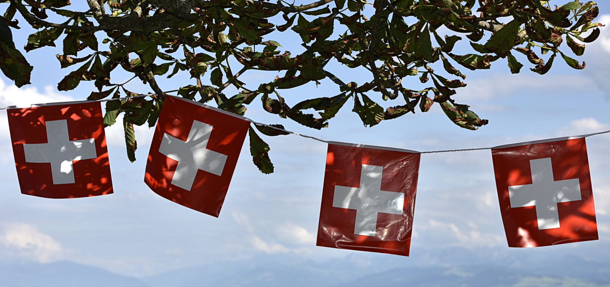 Gemeinde Kleinbösingen I<br>Gemeinde Dielsdorf I<br>Gemeinde Wuppenau