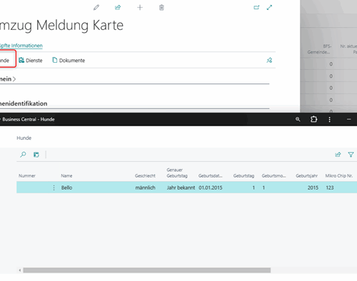Screenshot Vorschaubild